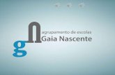 Quadro de excelência e valor do Agrupamento de Escolas Gaia Nascente  2014/15