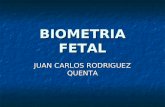 Biometria fetal