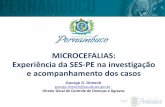 CT Epidemiologia - 21.03.16 - MICROCEFALIAS: SES/PE