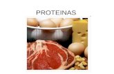 Proteínas  nivel 2