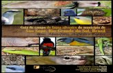 Guia de fauna silvestre do município de São Sepé, Rio Grande do Sul: aves, mamíferos, anfíbios e répteis.