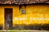 Brasil Sertanejo-Os Brasis de Darcy Ribeiro
