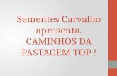 Sementes Carvalho  apresenta CAMINHOS PARA UMA PASTAGEM TOP !