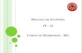 Tabela de Dimensionamento de Brigada de Emergência - IT 12 Minas Gerais