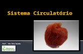 CN9-sistema circulatório