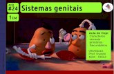 1EM #24 Sistemas genitais