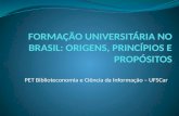 FORMAÇÃO UNIVERSITÁRIA NO BRASIL