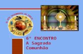 Os sacramentos da igreja - Aula 06