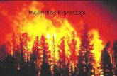 Incêndios florestais - Geografia, 10º8 CPTT