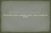 03 economia colonial