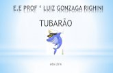 Tubarao 2 C