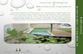Apresentação Arquitetura Positiva Piscinas e Lagos Biológicos