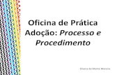 Oficina prática de adoção: processo e procedimento