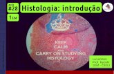 1EM #28 Histologia: introdução