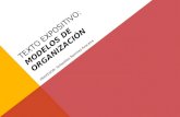 Modelos de organizacion