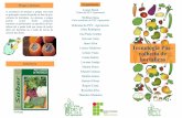 Folder com informações sobre Pós-colheita de Hortaliças