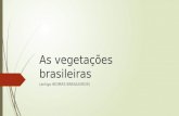 As vegetações brasileiras
