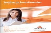 Semi analise de_investimentos_01_02