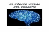 El código visual del cerebro 1.0