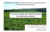 X Workshop sobre Tecnologias em Agroindústrias de Tuberosas Tropicais