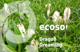 Apresentação ECOSOL / Dragon Dreaming - SONHAR