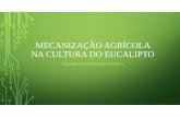 mecanização agricola na cultura do  Eucalipto