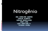 Nitrogênio e seus compostos