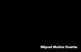 Miguel Muñoz Duarte - Modelos de Negócio