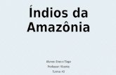 íNdios da amazônia