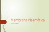 2016 Frente 1 modulo 2 membrana plasmatica