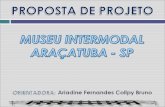 Centro Cultural Ferroviário - ARAÇATUBA - projeto 1 - UNIP ARAÇATUBA