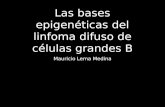 Las bases epigenéticas del linfoma difuso de células grandes B