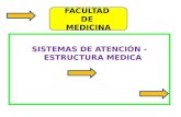 5. estructura medica (16 ago-2013)