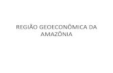 Região geoeconômica da amazônia
