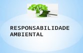 Responsabilidade ambiental geral