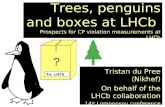 1 Trees, penguins and boxes at LHCb Prospects for CP violation measurements at LHCb Tristan du Pree (Nikhef) On behalf of the LHCb collaboration 14 th.