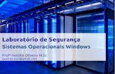 Laboratório de Segurança - Sistemas Operacionais Windows - Aula 1