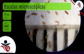 1EM #08 Escalas Microscópicas (2017)