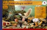 2EM #21 Embriologia Animal (2017)