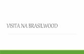 Visita na Brasilwood Extensão Luiz Carlos Sampaio