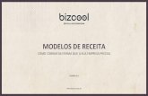 Bizcool- Modelos de receita