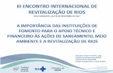 A importância das instituições de fomento para o apoio técnico e financeiro às ações de saneamento, meio ambiente e a revitalização de rios - Giuseppe Campos Vicentini Brasil
