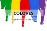 Colores básicos en Latín