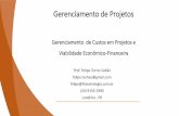 Gerenciamento de Custos em projetos - Prof. Felipe Torres Sahão