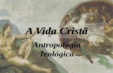 18   ist - a vida cristã - antropologia teologica
