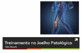 Treinamento no joelho patológico / Pathological knee training