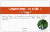 Ecologia, microbiologia do solo