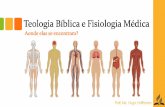 Teologia Bíblica e Fisiologia Médica