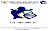 3 Relatorio Trimestral - Gabinete Estadual 2014/2015