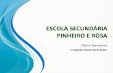 Oferta formativa de cursos profissionais da Escola Secundária Pinheiro e Rosa